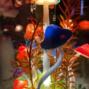 Blue Red Mushroom Night Light