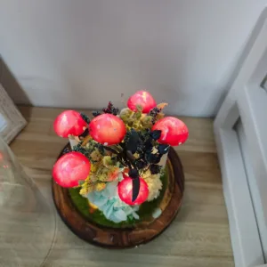 Crimson Spotted Floral Dome Night Light