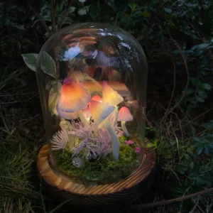 Cute Glowing Mushroom Night Light