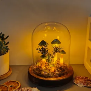 Dark Green White Stem Moss Dome Night Light