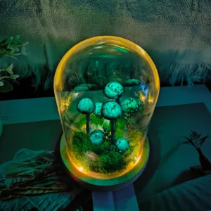 Green Painted Moss Dome Mushroom Night Light