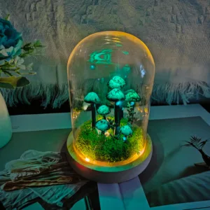 Green Painted Moss Dome Mushroom Night Light