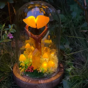 Heart Shape Mushroom Night Light
