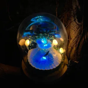 Jumping Whale and Mushroom Night Light in Shell