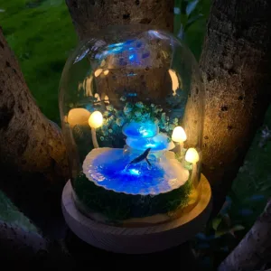 Jumping Whale and Mushroom Night Light in Shell