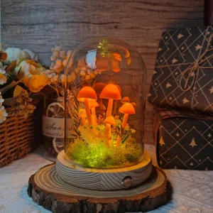 Orange Mushroom Terrarium Night Light