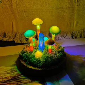 Rainbow Cap Crystal Moss Night Light