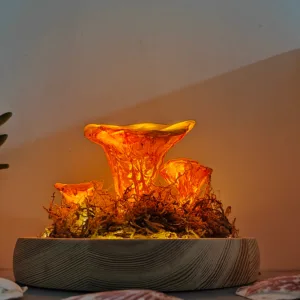 Yellow Orange Chanterelle Dome Night Light